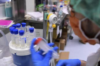 Creata 'copia sintetica' del virus per studio su vaccino