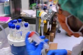 Creata 'copia sintetica' del virus per studio su vaccino Creata 'copia sintetica' del virus per studio su vaccino