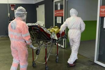 Coronavirus, quasi 244mila morti nel mondo Coronavirus, quasi 244mila morti nel mondo