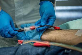 Coronavirus, Spallanzani: Studio su plasma con San Camillo e Bambino Gesù Coronavirus, Spallanzani: Studio su plasma con San Camillo e Bambino Gesù