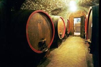 Boscaini (Federvini): settore vino in difficoltà, anticipare apertura bar e ristoranti Boscaini (Federvini): settore vino in difficoltà, anticipare apertura bar e ristoranti