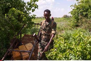 Silvia Romano, al-Shabaab: Parte riscatto per acquisto armi per jihad Silvia Romano, al-Shabaab: Parte riscatto per acquisto armi per jihad