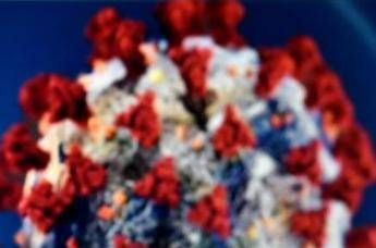 Coronavirus, Oms: Potrebbe non andarsene mai come l'Hiv Coronavirus, Oms: Potrebbe non andarsene mai come l'Hiv