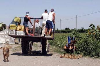 Migranti, Lamorgese: Cercare equilibrio tra mercato e sicurezza lavoratori