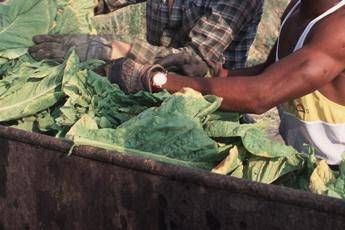 Pene raddoppiate per chi sfrutta lavoro nero, ecco cosa prevede l'accordo Pene raddoppiate per chi sfrutta lavoro nero, ecco cosa prevede l'accordo