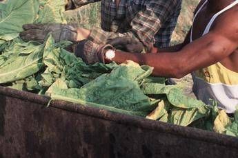 Pene raddoppiate per chi sfrutta lavoro nero, ecco cosa prevede l'accordo