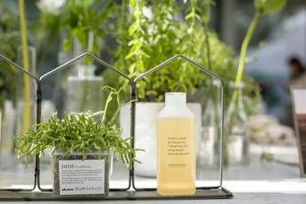 Davines e la sua Parma 'green': arriva l'alleanza CO2 Neutral Davines e la sua Parma 'green': arriva l'alleanza CO2 Neutral