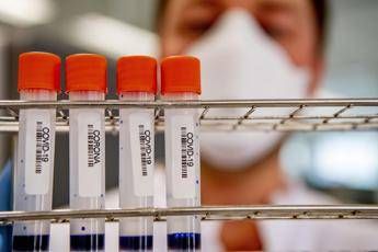 New variant of Covid, Crisanti: We do not know if vaccines cover it New variant of Covid, Crisanti: We do not know if vaccines cover it