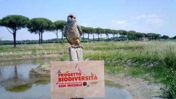 Nei campi NaturaSì oltre 3600 ettari dedicati alla tutela della biodiversità Nei campi NaturaSì oltre 3600 ettari dedicati alla tutela della biodiversità