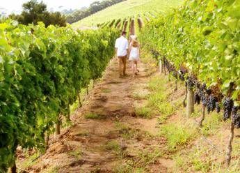 Arriva protocollo internazionale 'Tranquillamente Enoturismo' Arriva protocollo internazionale 'Tranquillamente Enoturismo'
