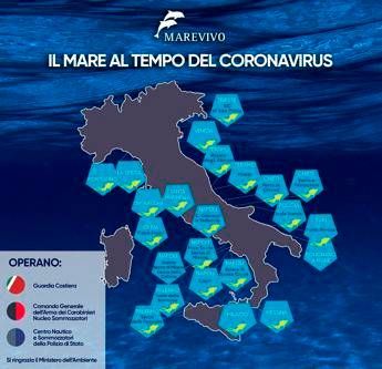 Più pesci ma restano i rifiuti, i nostri mari dopo il lockdown Più pesci ma restano i rifiuti, i nostri mari dopo il lockdown