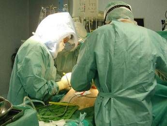Virus gli 'brucia' i polmoni a 18 anni, trapianto record a Milano Virus gli 'brucia' i polmoni a 18 anni, trapianto record a Milano