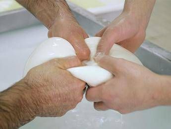 Raimondo (Consorzio Mozzarella Bufala campana): Aiutare export e turismo Raimondo (Consorzio Mozzarella Bufala campana): Aiutare export e turismo