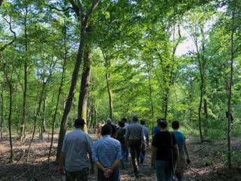 Vacanze, le oasi del Wwf nel Lazio Vacanze, le oasi del Wwf nel Lazio