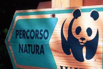 Vacanze, oasi del Wwf in Umbria