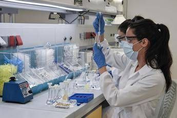 Ippolito: No virus da asintomatici? Servono ancora prove Ippolito: No virus da asintomatici? Servono ancora prove
