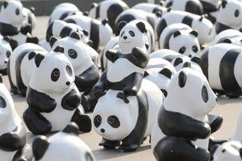 Vacanze, le oasi del Wwf in Toscana Vacanze, le oasi del Wwf in Toscana