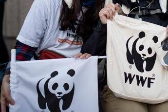 Vacanze, le oasi Wwf nelle Marche Vacanze, le oasi Wwf nelle Marche