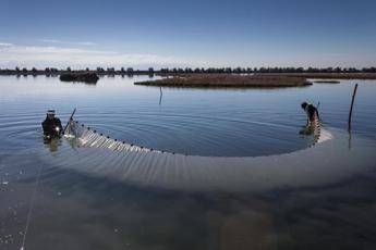 Acqua dolce nella Laguna di Venezia per ripopolarla di pesci e uccelli Acqua dolce nella Laguna di Venezia per ripopolarla di pesci e uccelli