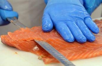 Ondata di contagi a Pechino, Cina mette al bando salmone europeo Ondata di contagi a Pechino, Cina mette al bando salmone europeo