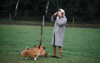 Reali, dai corgis di Elisabetta ai teckel di Margrethe, un animale è per sempre Reali, dai corgis di Elisabetta ai teckel di Margrethe, un animale è per sempre