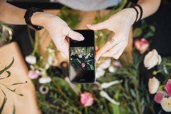 Crowdfunding, Bloovery trasloca online mercato fiori: overfunding del 153% Crowdfunding, Bloovery trasloca online mercato fiori: overfunding del 153%