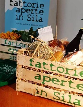 Calabria: al via edizione 2020 'Fattorie aperte in Sila' Calabria: al via edizione 2020 'Fattorie aperte in Sila'