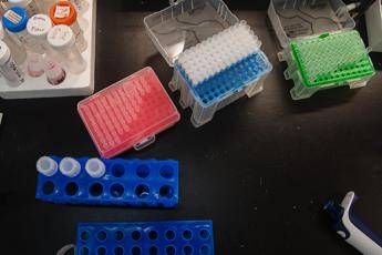 Covid, 5 vaccini in ultima fase ricerca Covid, 5 vaccini in ultima fase ricerca