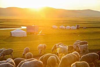 Peste bubbonica in Mongolia, scatta l'allerta Peste bubbonica in Mongolia, scatta l'allerta