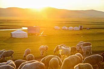 Peste bubbonica in Mongolia, scatta l'allerta