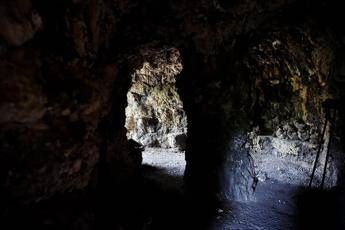 Lo studio: l'uomo di Neanderthal non si estinse per l'era glaciale Lo studio: l'uomo di Neanderthal non si estinse per l'era glaciale