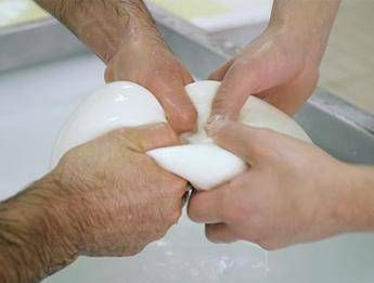 Mozzarella di Bufala Campana Dop partecipa al progetto di ricerca D&G Mozzarella di Bufala Campana Dop partecipa al progetto di ricerca D&G