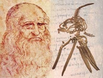 Leonardo, svelato il mistero della balena Leonardo, svelato il mistero della balena