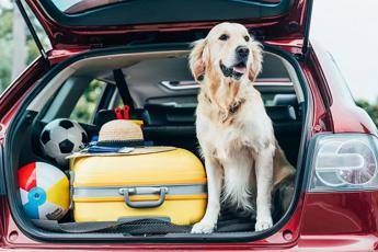 Vacanze pet friendly per un italiano su 3 Vacanze pet friendly per un italiano su 3