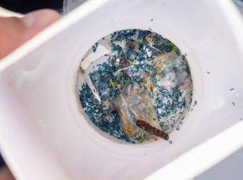 Santuario Cetacei, microplastica e fibre tessili in pesci e invertebrati Santuario Cetacei, microplastica e fibre tessili in pesci e invertebrati