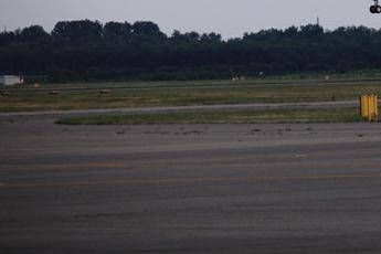 Paura a Basilea, aereo atterra in fiamme ed esce di pista Paura a Basilea, aereo atterra in fiamme ed esce di pista