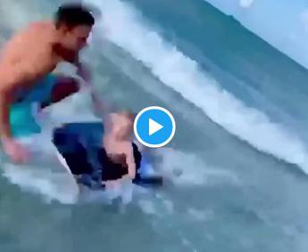 Squalo a riva, agente si tuffa e salva bambino - Video