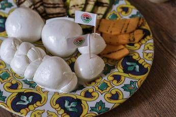 Consorzio tutela mozzarella bufala campana dop, gli errori da evitare d'estate Consorzio tutela mozzarella bufala campana dop, gli errori da evitare d'estate