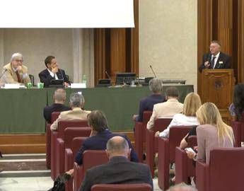 Tarro, la frecciata: Chi si spaccia per virologo escludeva epidemia Tarro, la frecciata: Chi si spaccia per virologo escludeva epidemia