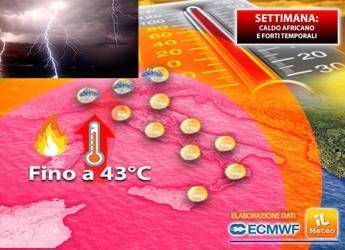 Meteo, caldo rovente fino a 43 gradi: ecco dove Meteo, caldo rovente fino a 43 gradi: ecco dove