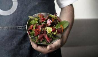 Consorzio Fvg Via dei Sapori compie 20 anni e riparte dalla 'Nuova Cucina' Consorzio Fvg Via dei Sapori compie 20 anni e riparte dalla 'Nuova Cucina'