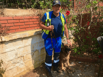 Asia, il cane pastore tedesco che da una settimana cerca il piccolo Gioele