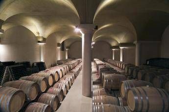Moncaro, per mercato vino nel post-Covid Gdo vince su Ho.Re.Ca e tiene biologico Moncaro, per mercato vino nel post-Covid Gdo vince su Ho.Re.Ca e tiene biologico