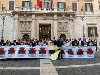 Referendum, 'grillini per il No'. Si allarga fronte nel M5S: Ora usciamo allo scoperto Referendum, 'grillini per il No'. Si allarga fronte nel M5S: Ora usciamo allo scoperto