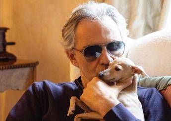 Bocelli, appello per il cane: Aiutateci a trovare Pallina