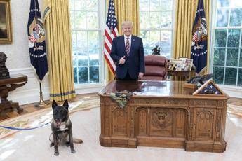 Trump scioccante, nessuno ha mai detto non lascio la Casa Bianca Trump scioccante, nessuno ha mai detto non lascio la Casa Bianca