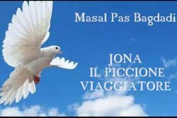 La favola di Jona, il 'piccione viaggiatore' dei bambini al tempo del Covid La favola di Jona, il 'piccione viaggiatore' dei bambini al tempo del Covid