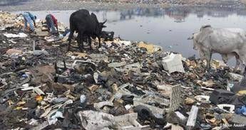 Interpol: è Plastica Connection. In aumento traffici criminali globali Interpol: è Plastica Connection. In aumento traffici criminali globali