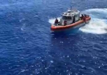 Squalo prepara attacco, Guardia Costiera spara - Video Squalo prepara attacco, Guardia Costiera spara - Video