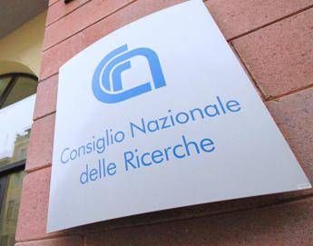 Zavatta: Videochiamata con Conte, così tecnologia quantistica rende rete sicura Zavatta: Videochiamata con Conte, così tecnologia quantistica rende rete sicura